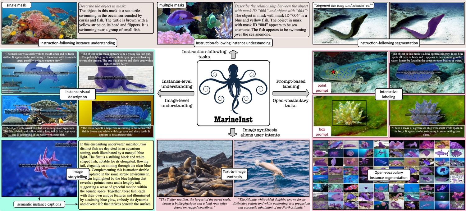 Marine Foundation Models